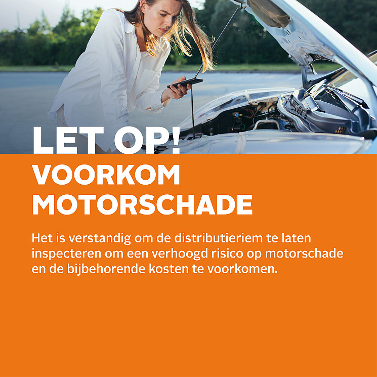 Carteam Stoebo Bolsward