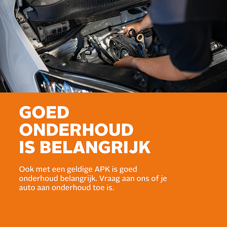 Carteam Stoebo Bolsward