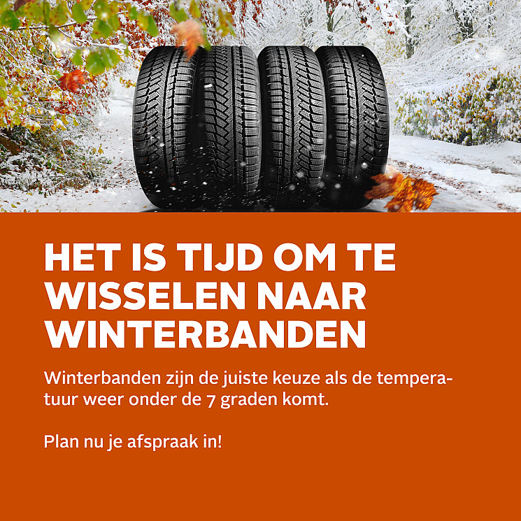 Carteam Stoebo Bolsward